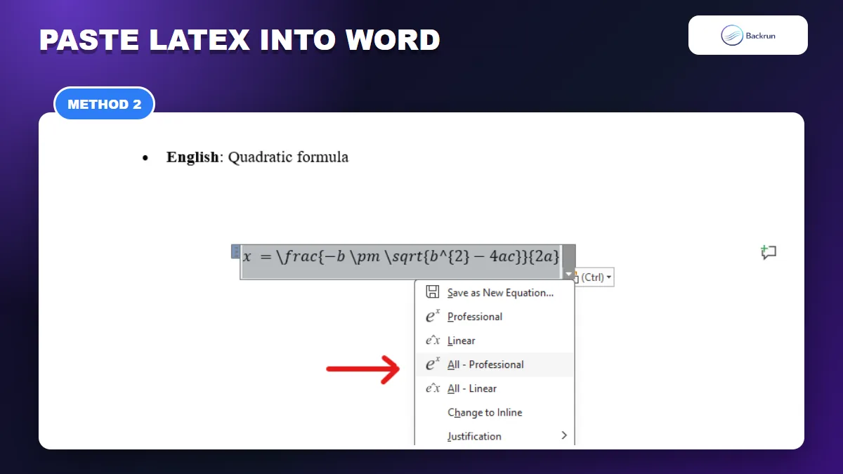 Word Equation Editor menu converting pasted LaTeX to professional format