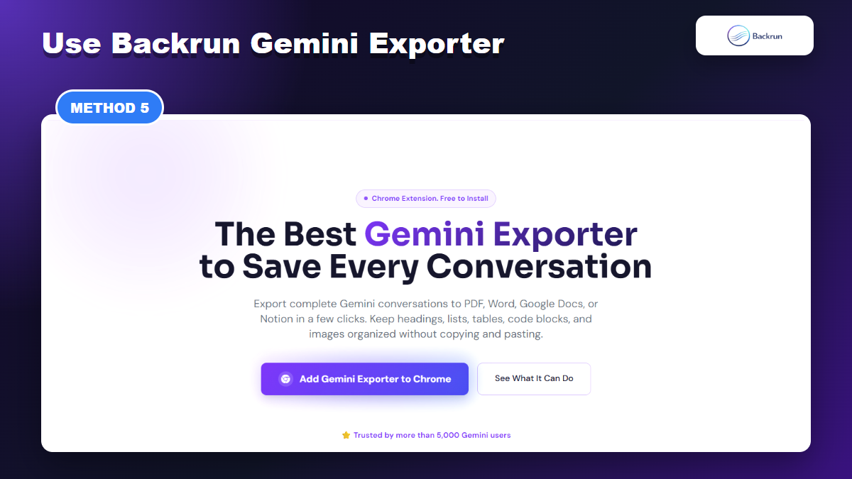 Backrun Gemini Exporter page showing export support for Word Google Docs PDF and Notion