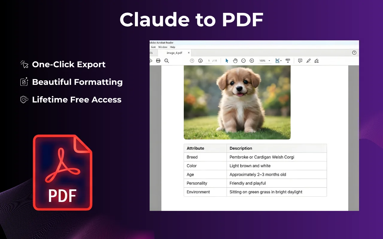 Claude chat exported to PDF with preserved code blocks and formatting