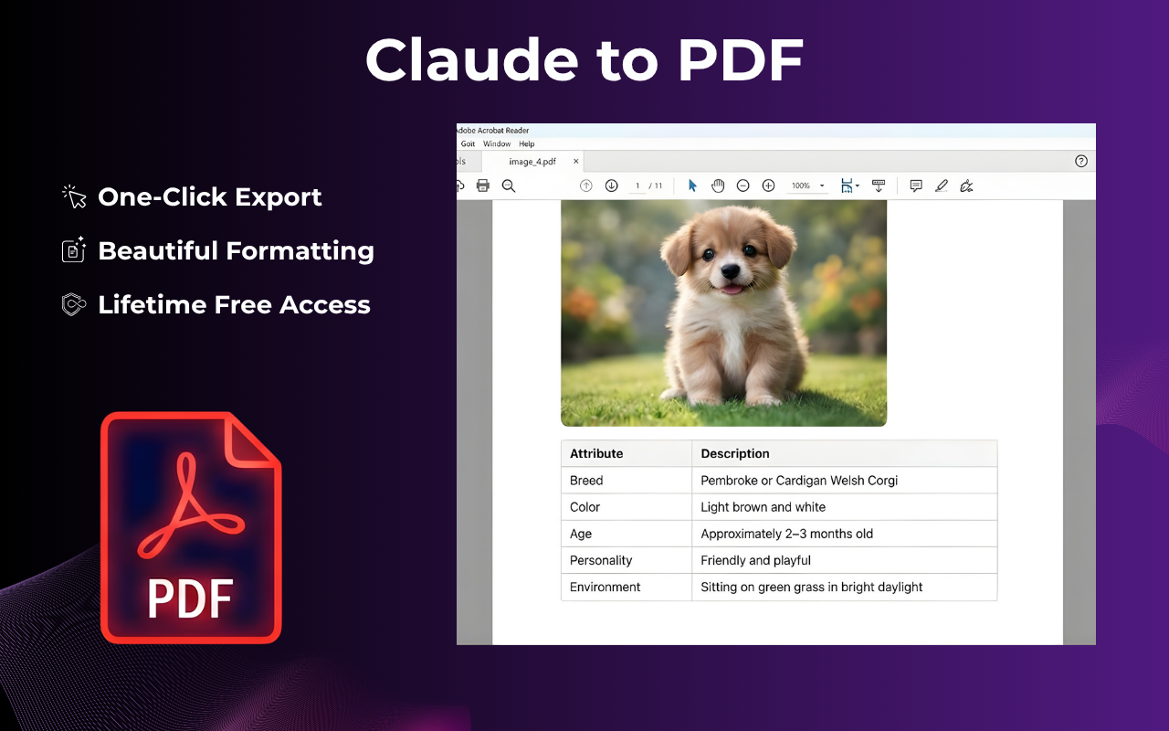 Export to PDF